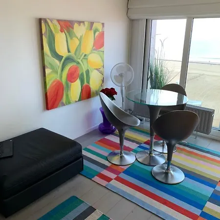 Colorful & Bright Studio - Zoute *